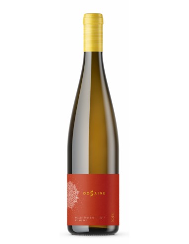 DomaineM - Orange Wine, Wino Pomarańczowe, Muller Thurgau III amfora  2017 BIO