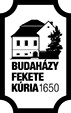 Budahazy Fekete Kuria